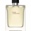 hermes-terre-dhermes-eau-de-toilette-fuer-herren