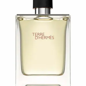 hermes-terre-dhermes-eau-de-toilette-fuer-herren hermes-terre-dhermes-eau-de-toilette-fuer-herren