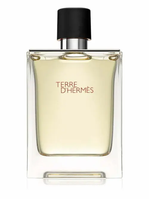 hermes-terre-dhermes-eau-de-toilette-fuer-herren