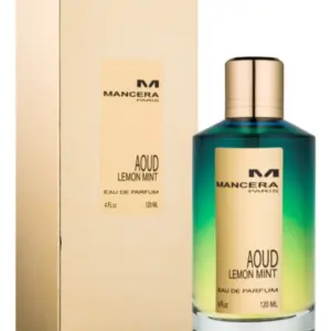 aoud lemon mint probe aoud lemon mint probe