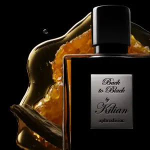 back to black kilian back to black kilian