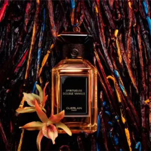 Spiritueuse-Double-VanilleSpiritueuse-Double-Vanille- Spiritueuse-Double-Vanille