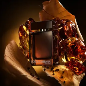 the one pour homme parfum 2 Dolce & Gabbana The One Pour Homme Parfum